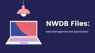 NWDB (Neat Database) Files: Data Management and Optimization