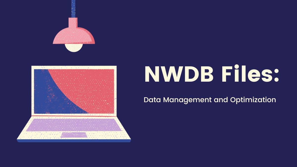 NWDB (Neat Database) Files: Data Management and Optimization
